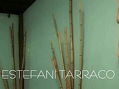 trío de bellezas estefani tarrago jade preysler y gigi love