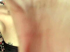 my gringo friend calls to check out latin adventures