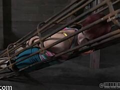 upside down sweetheart gives blowjob