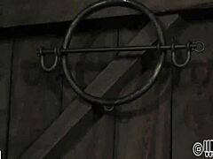 Four Angels Inside Petite 18+ Cage