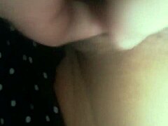 exploring the world of jurassic pork in a fun way