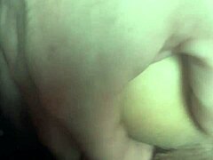 exploring the world of jurassic pork in a fun way