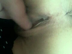 exploring the world of jurassic pork in a fun way