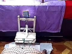 This fat slut does anal with a dildo in doggy while flashing.