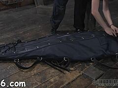 Brutal Whipping Session Leaves Enchanting Gal Trembling in Pain