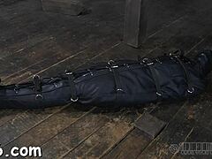 Brutal Whipping Session Leaves Enchanting Gal Trembling in Pain