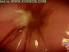 i accompanied my step-sister on the street but was eaten as a snack