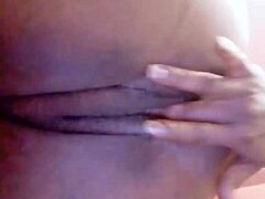 sundaydogood614 update 44 c360vid 20240128 163133 jan 29 2024