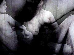 i love this vintage illustration from the antique era