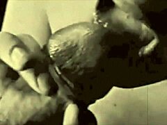 victorian gentleman confesses vintage blowjobs in erotic tales