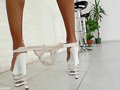 Shanis Gets Anal Sex In Perfect Gonzo Style By Ass Traffic!