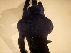 哇，看这些同性恋狼人POV视角猛烈抽插！