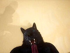 哇，看这些同性恋狼人POV视角猛烈抽插！