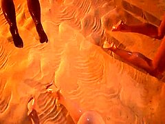 野生动物群P3D原始狂爆