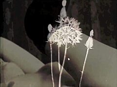 Dark Lantern reveals vintage sins with hairy milf confessions in retro erotica.