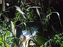 night forest camp sex gets wild under stars. join us for part 1 thrill! 🌲🔥