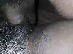 Big L Amateur Action Sparks Wild Curiosity