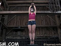 棕发宝贝无胸罩摆姿势