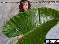 Petite Asian Teen Kit Rysha Reveals Her Perfect Natural Body