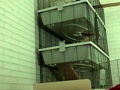 Horny Gay Guy Enjoys Wet Piss Play on Sofa