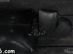 Why is this hotty collared with legs forced wide for nasty action?