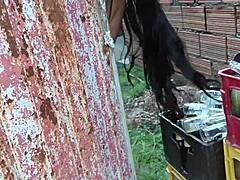 latina gets horny with sister's waiter