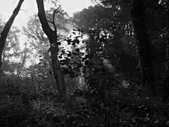 A Chic Chick Led To A Pickup