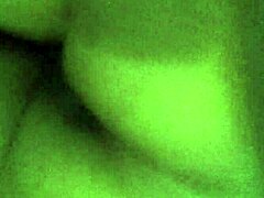 quarantine oily horny brownie suggests hidden desires