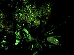 These vintage erotic drawings are amazing. Retro anime hentai.