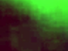 breaking into brazilian bitch's ass