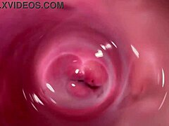 见过相机在我奶油紧致阴道里吗？