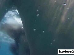 经典重制女同游泳队激情动作