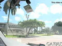 Homosexual blowjob action gets steamy real quick! 😜