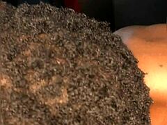 Think porn’s a small gig? Watch this wild behind-the-scenes action!