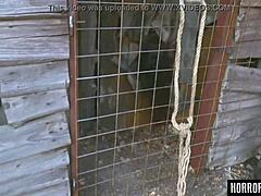 Horrorporn Beast Unleashes Wild 3some With Bound Brunette in Woods!