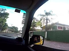 two cats showing off on the street with guy in jimmy pernocas sumaya ganesha