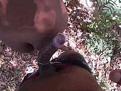 Hey, dragged that naughty girl into the woods for some fun!