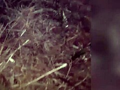 My friends and I went out, and I offered wild blowjobs to everyone