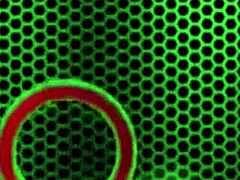 红发西瑞阳光下巨乳大玩具挑逗