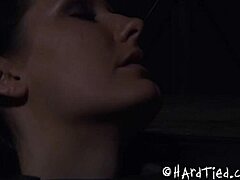 In this free sadomasochism porn, the slut gets her pussy fucked roughly