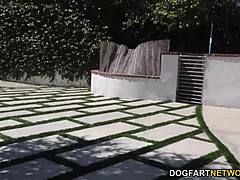 Jenna marie is fucking that huge black cock in pov style