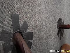 Natasha Vega荣耀洞求大黑屌