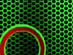 Holy Hell! Kiki Dare in Lingerie Gets Wild with Muff Diving!