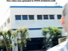 Las Vegas news agency covers US postal Cosa Nostra and furry potato affair