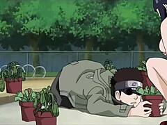 最佳未见动漫合集nr4