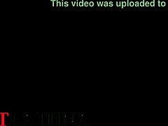 i did a wild trio with my amiga for new year