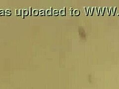 our friend enjoys a free encounter with blonde jenna