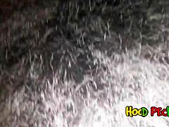 new neighbor with massive ass and tits just moved in, so i fucked her hard before the guys could