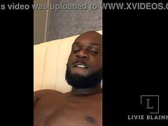 Livie Goes Wild with Rockhardo and Kitty