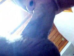 N�o resisti e me engasguei na pica do pastor da igreja que visitei ele disse que tem trabalho especial para meninas como eu